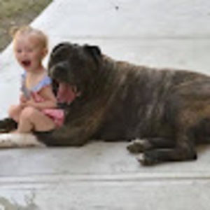 Meet your Posher, Connie